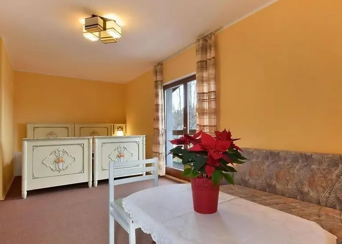 Проживание в семье Sasanka *